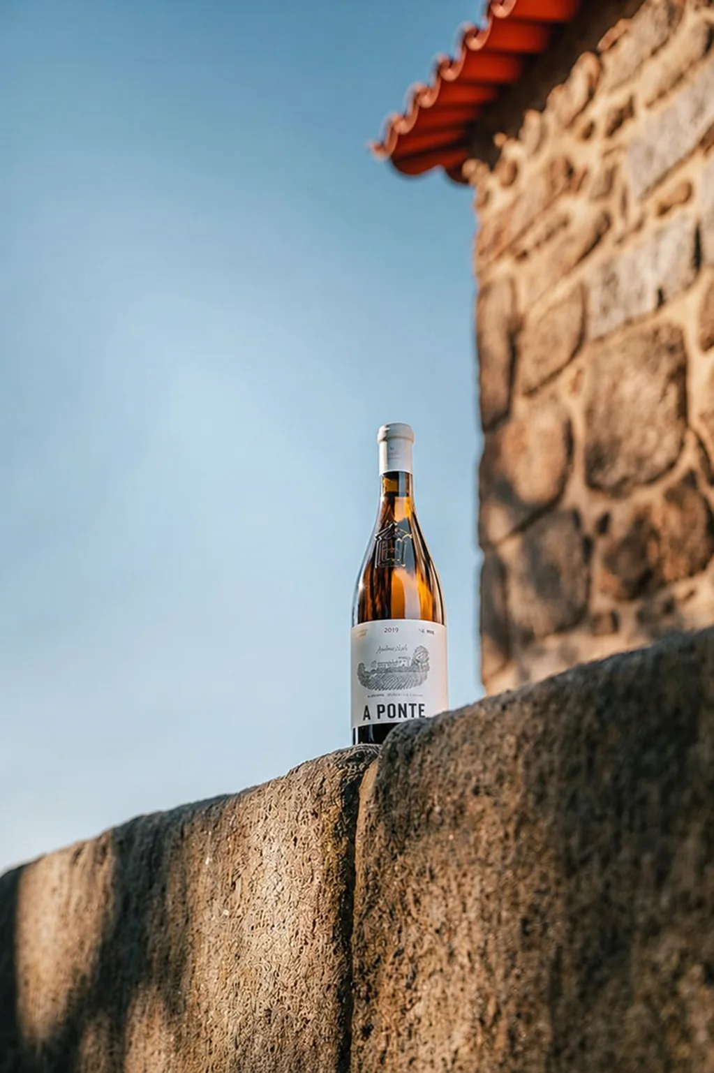 Bottle on a sunlit stone wall
